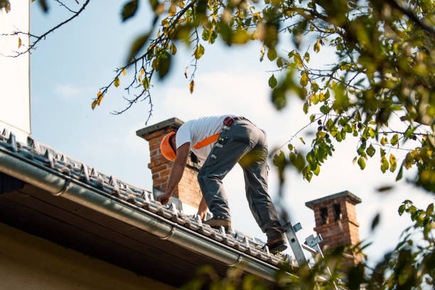 Best Roof Waterproofing Services  in Bridgeport, OH