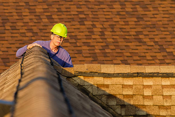 Best Roof Repair Services  in Bridgeport, OH